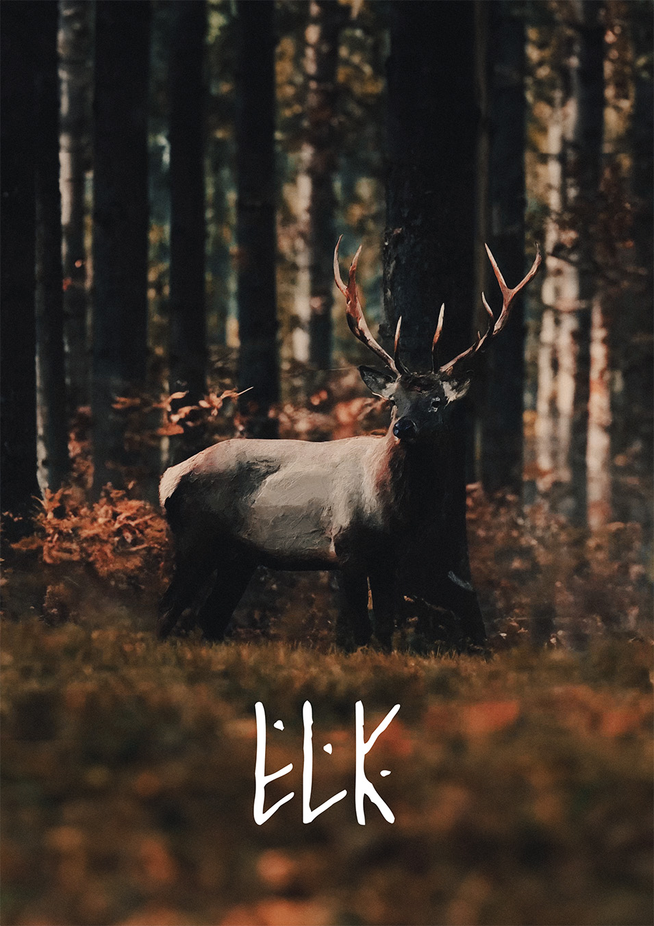 ACRNM Музыкальный продакшн